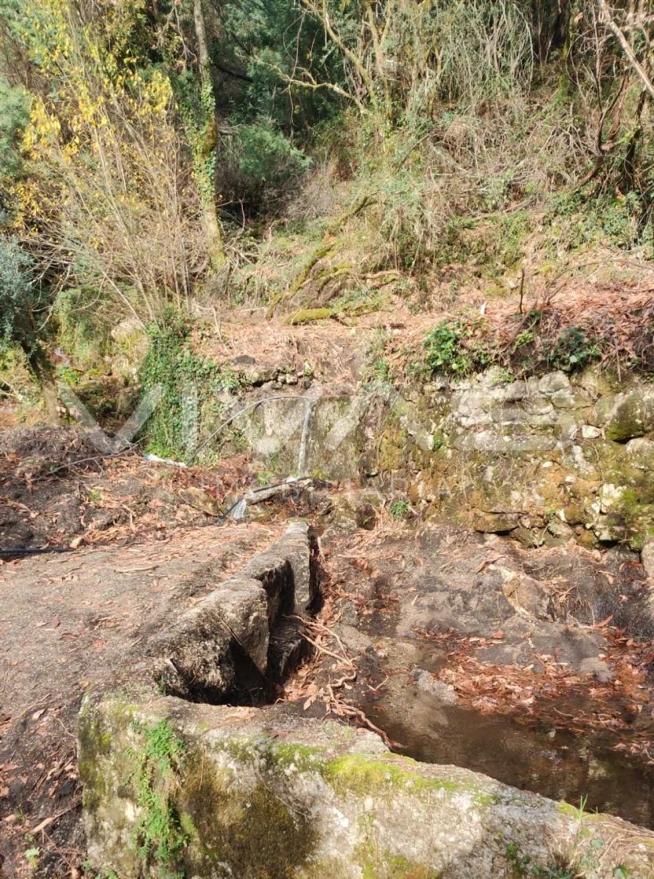 Moradia T1 para Venda em Valdosende Foto 26