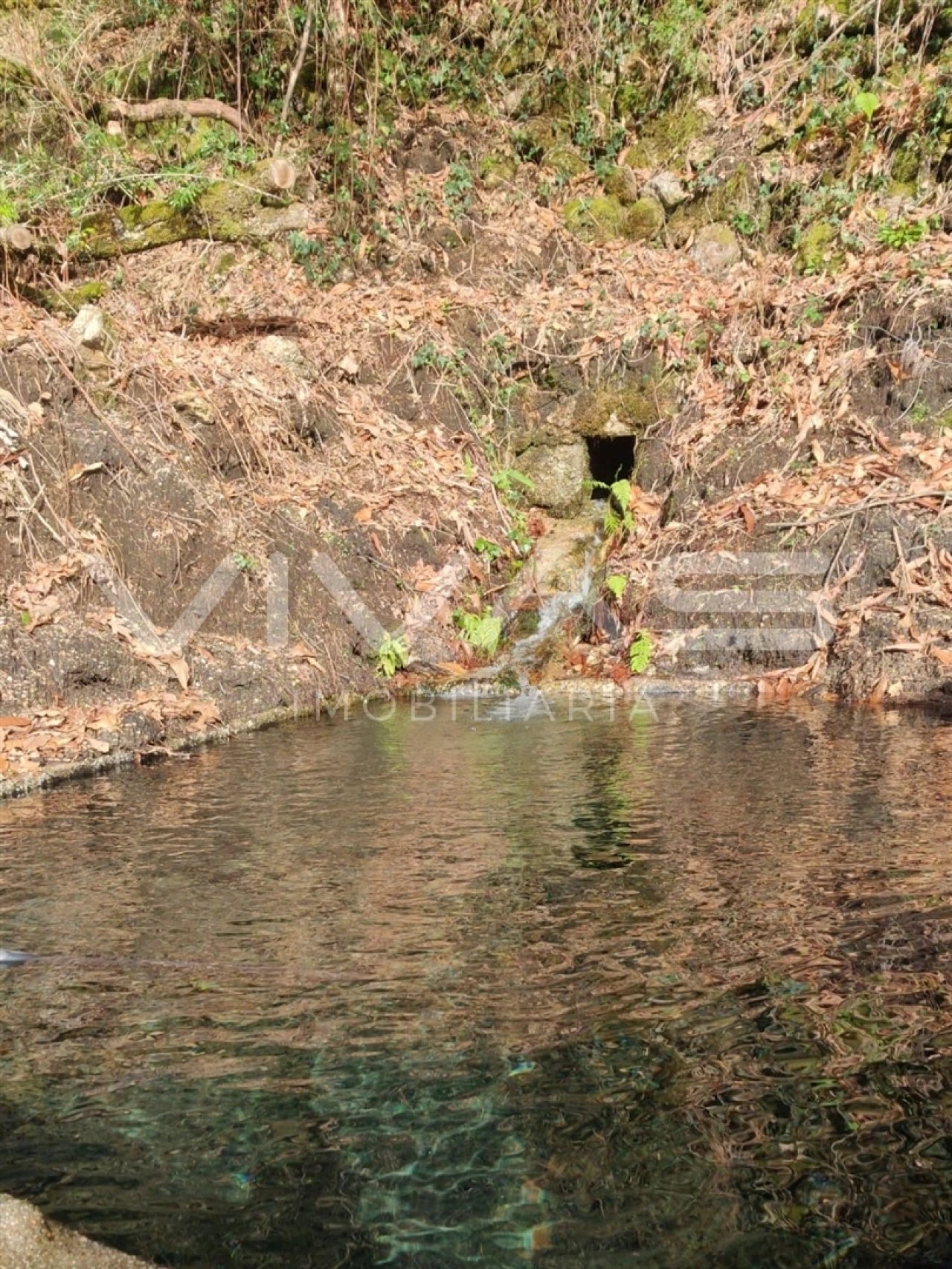 Moradia T1 para Venda em Valdosende Foto 28