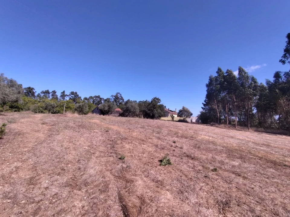 Terreno para Venda em Samuel Foto 3