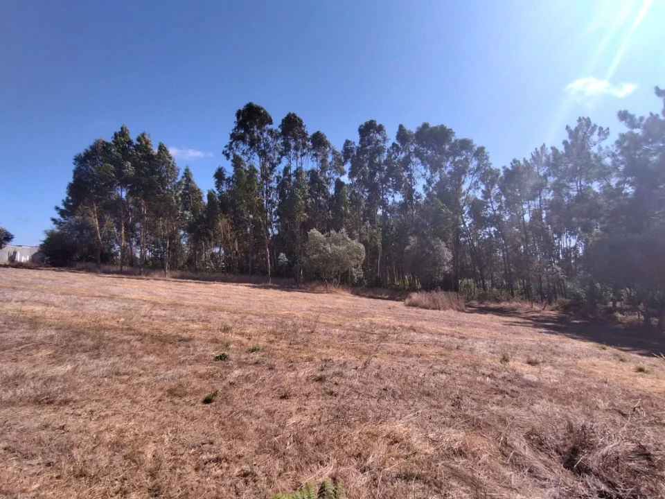 Terreno para Venda em Samuel Foto 4