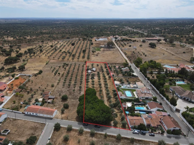 Terreno para Venda em Ermidas-Sado Foto 13