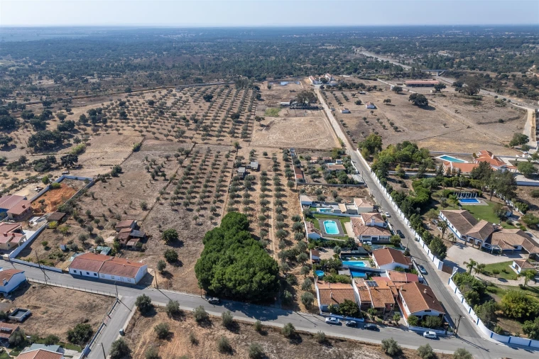 Terreno para Venda em Ermidas-Sado Foto 9