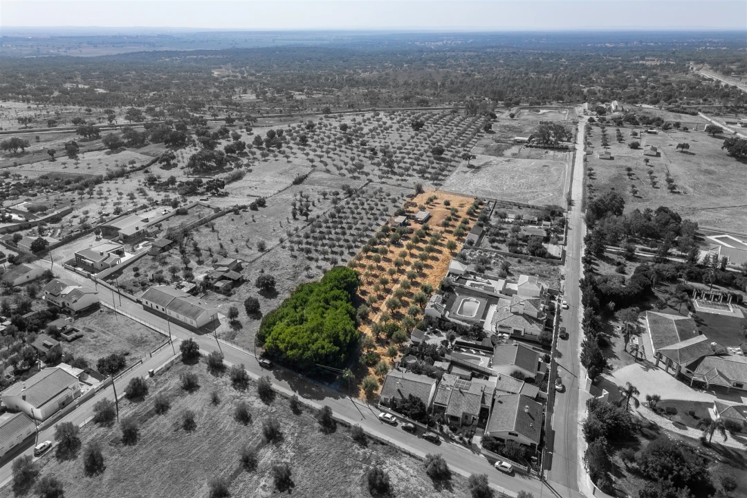 Terreno para Venda em Ermidas-Sado Foto 3