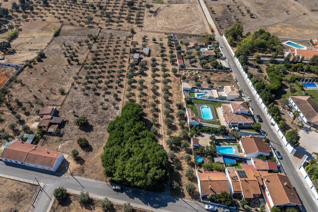 Terreno para Venda em Ermidas-Sado Foto 7