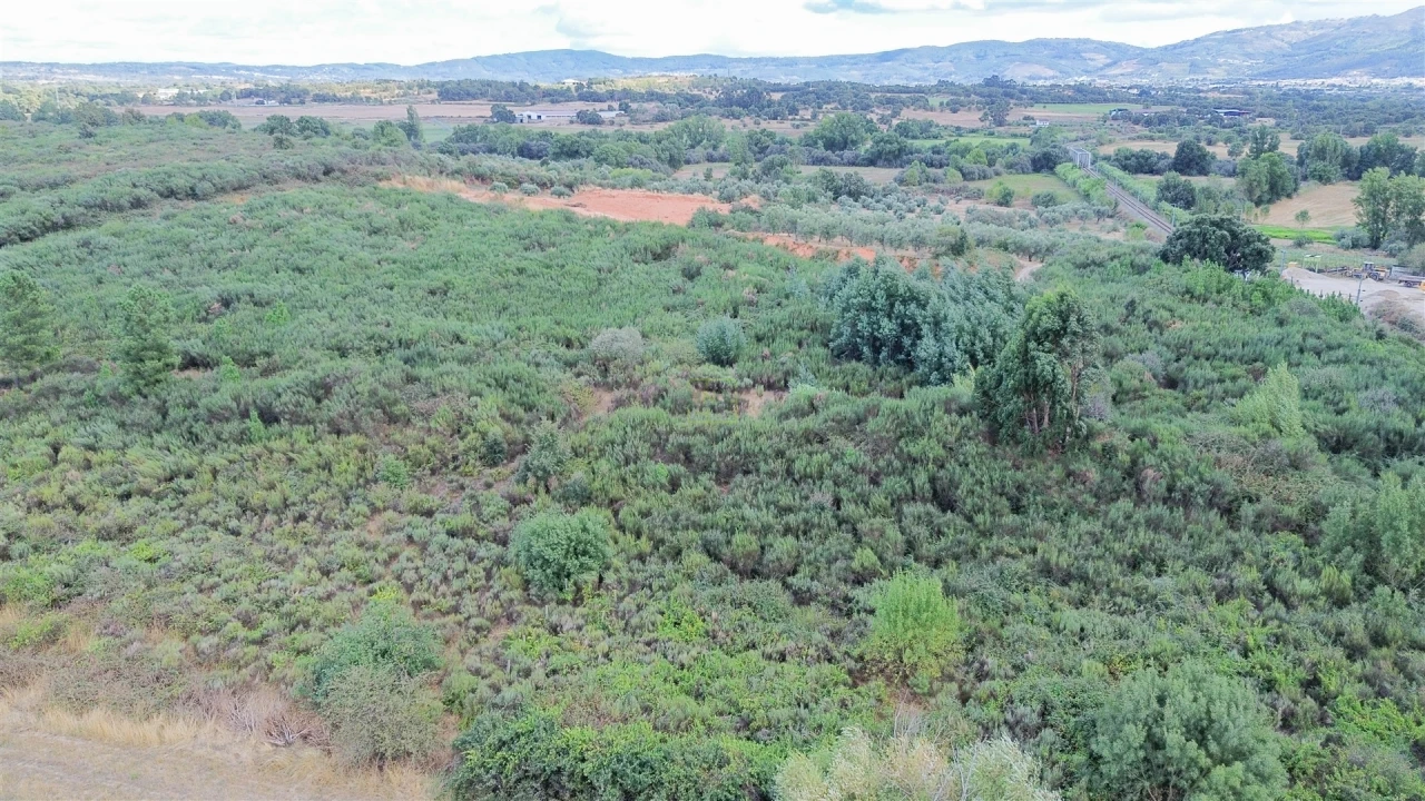 Terreno para Venda em Alcaria Foto 21