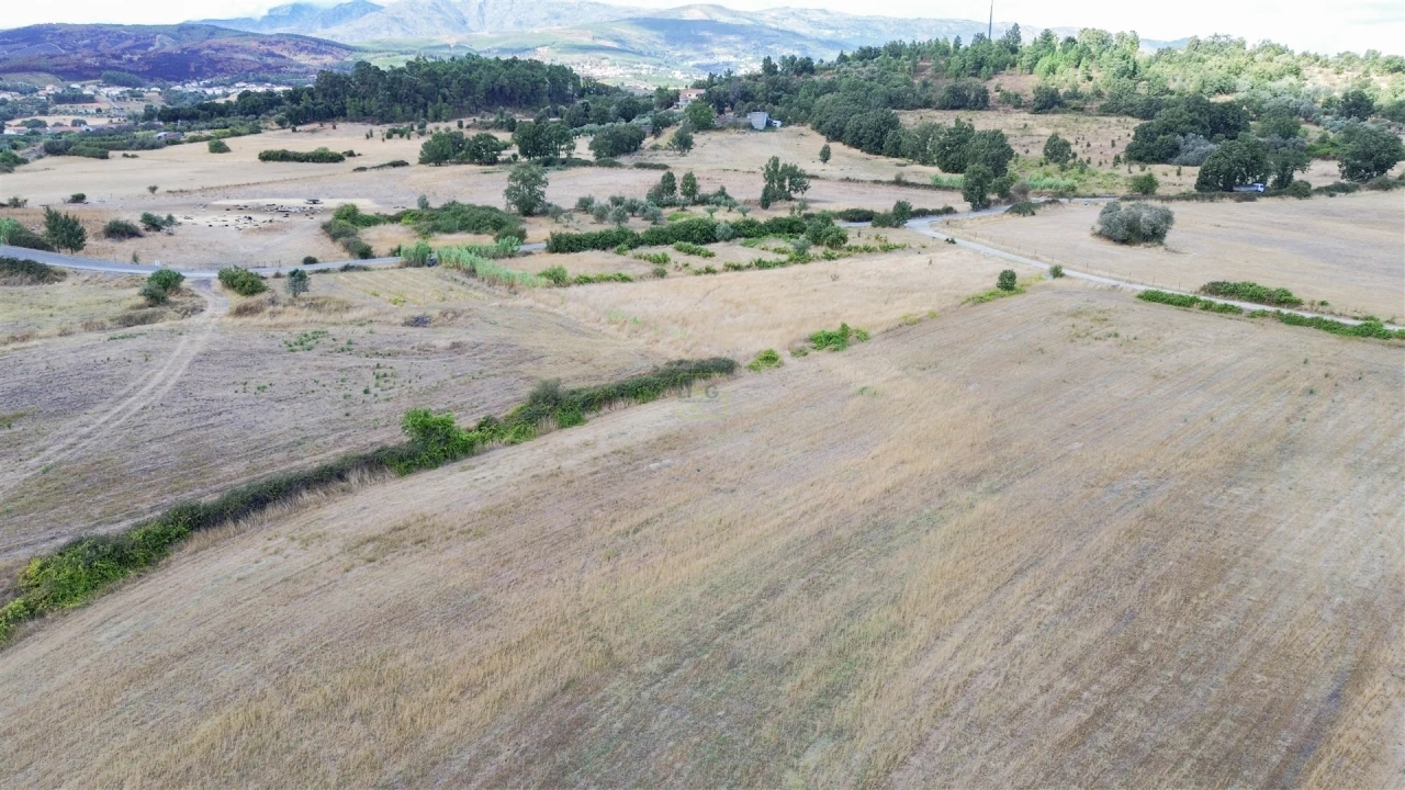 Terreno para Venda em Alcaria Foto 20