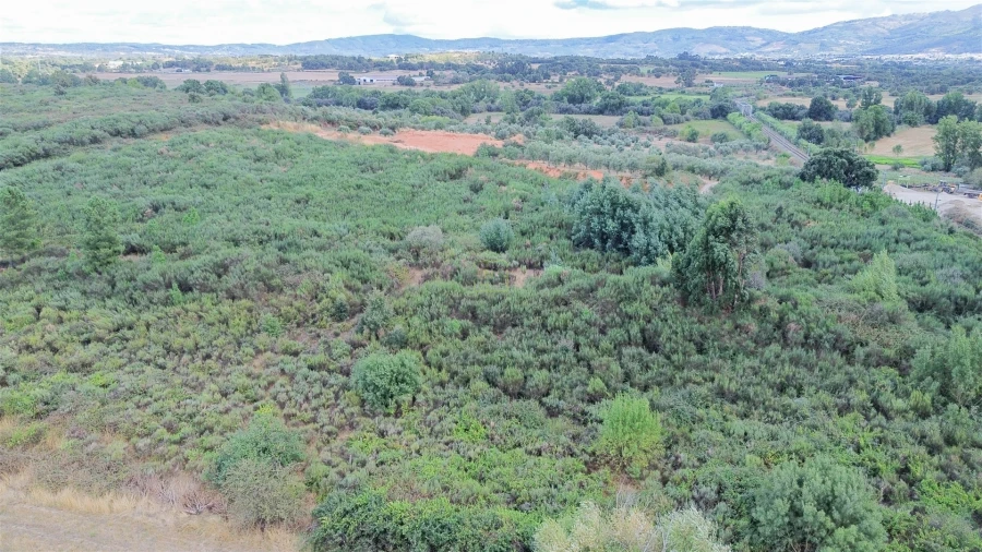 Terreno para Venda em Alcaria Foto 21