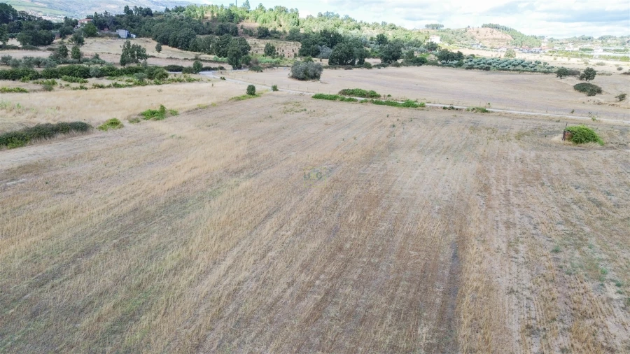 Terreno para Venda em Alcaria Foto 27
