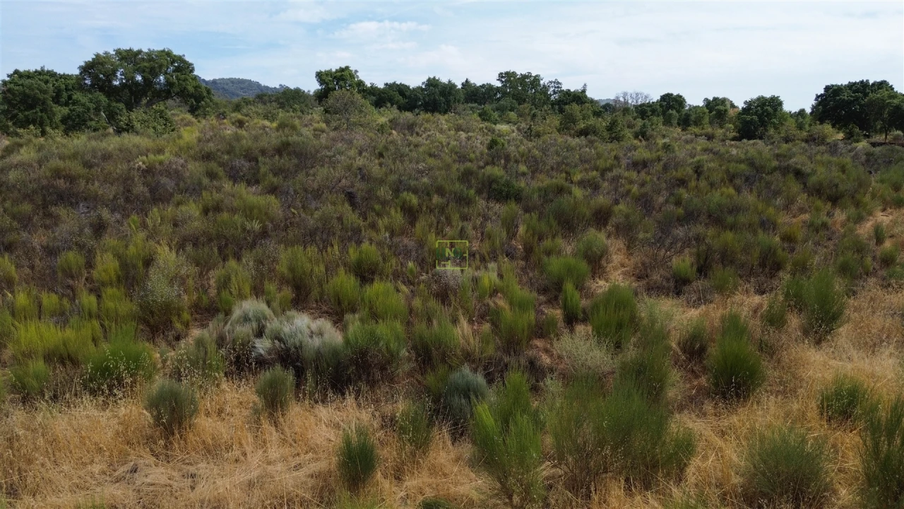 Terreno Agricola ou Rústico para Venda em Penamacor Foto 22