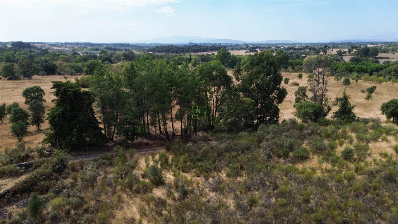 Terreno Agricola ou Rústico para Venda em Penamacor Foto 11