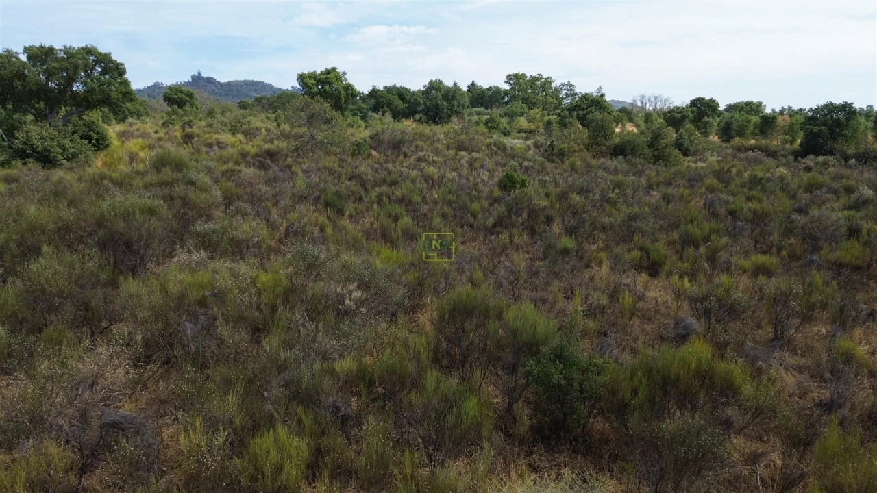 Terreno Agricola ou Rústico para Venda em Penamacor Foto 23