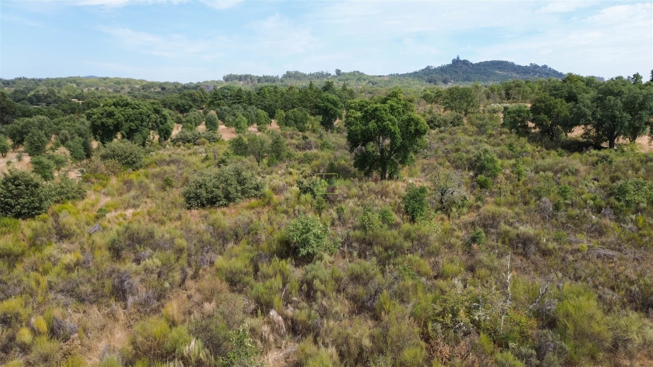 Terreno Agricola ou Rústico para Venda em Penamacor Foto 29