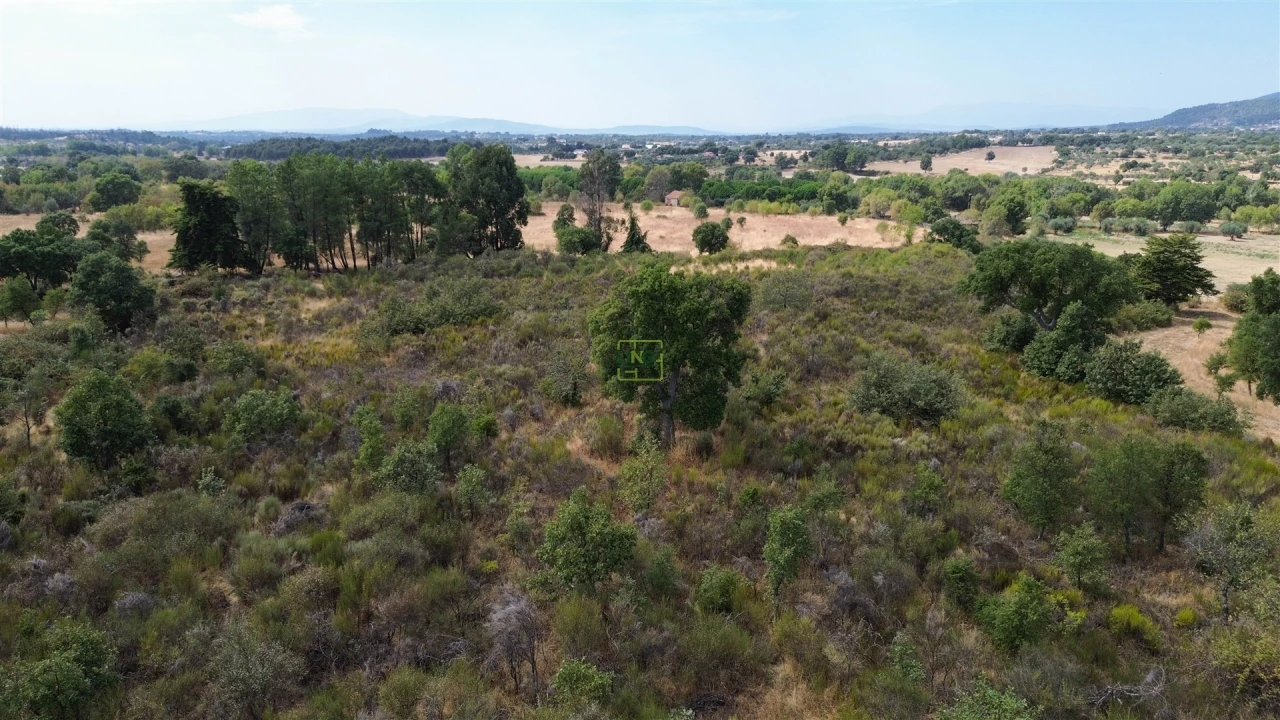 Terreno Agricola ou Rústico para Venda em Penamacor Foto 9