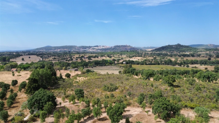 Terreno Agricola ou Rústico para Venda em Penamacor Foto 33