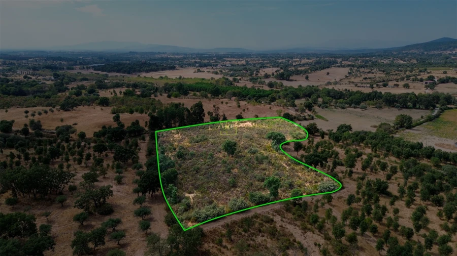 Terreno Agricola ou Rústico para Venda em Penamacor Foto 6