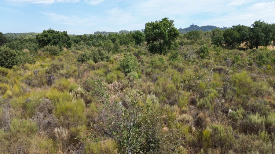 Terreno Agricola ou Rústico para Venda em Penamacor Foto 28