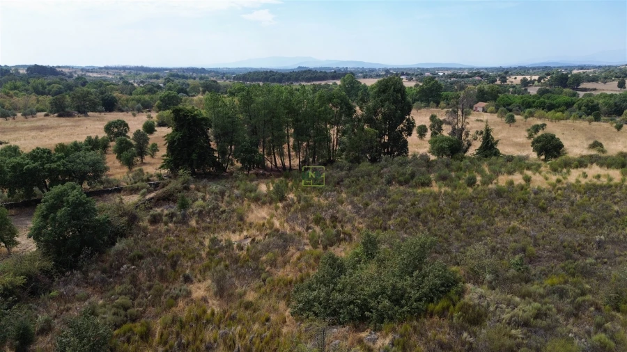 Terreno Agricola ou Rústico para Venda em Penamacor Foto 10