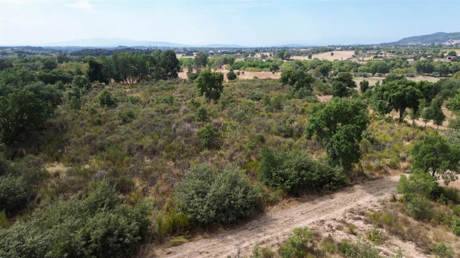 Terreno Agricola ou Rústico para Venda em Penamacor Foto 7