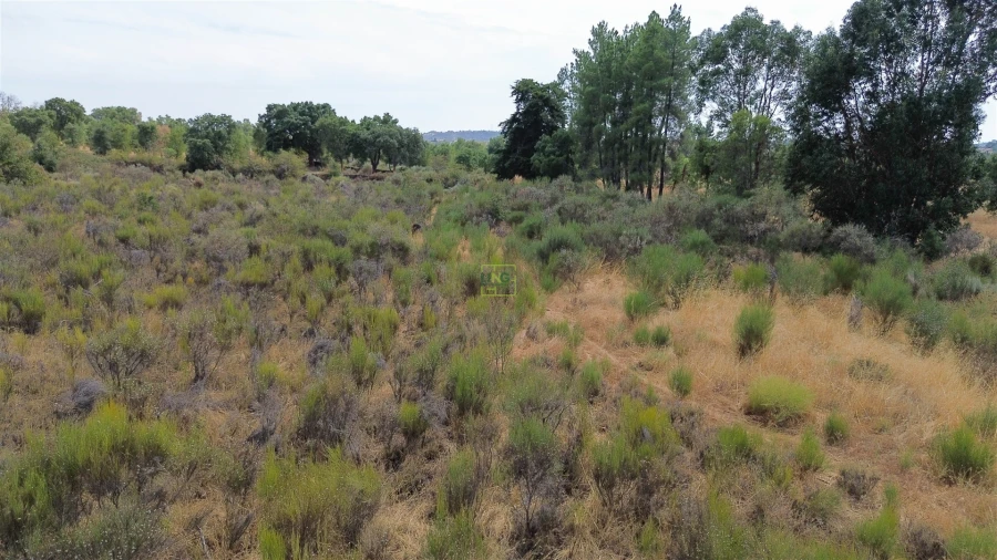 Terreno Agricola ou Rústico para Venda em Penamacor Foto 24