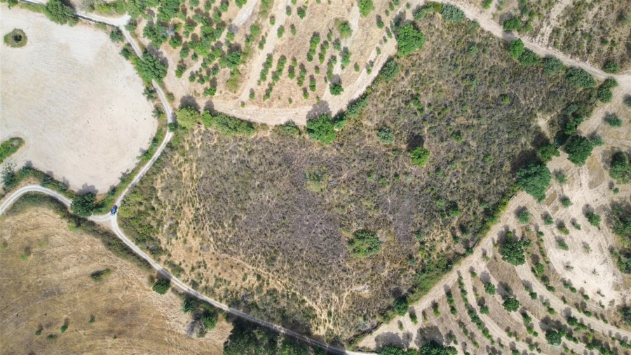 Terreno Agricola ou Rústico para Venda em Penamacor Foto 2