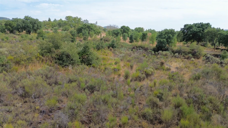 Terreno Agricola ou Rústico para Venda em Penamacor Foto 27
