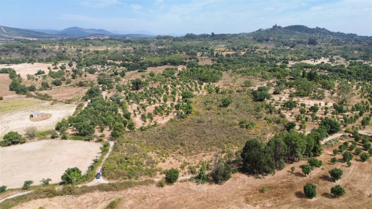 Terreno Agricola ou Rústico para Venda em Penamacor Foto 4