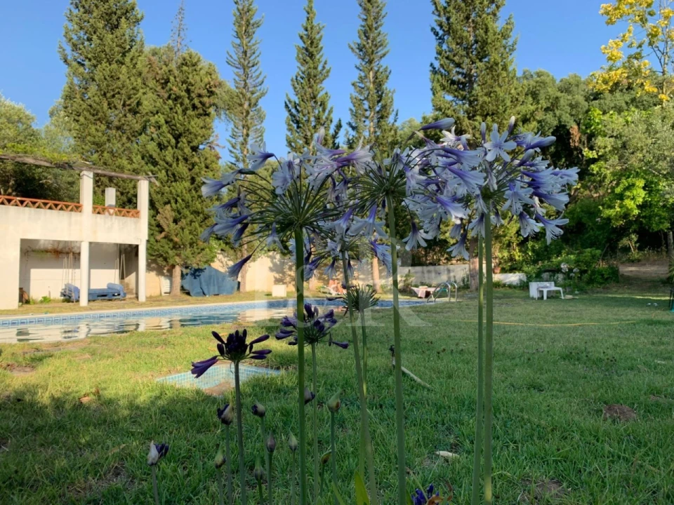 Quinta T10 para Venda em Nossa Senhora da Vila, Nossa Senhora do Bispo e Silveiras Foto 22