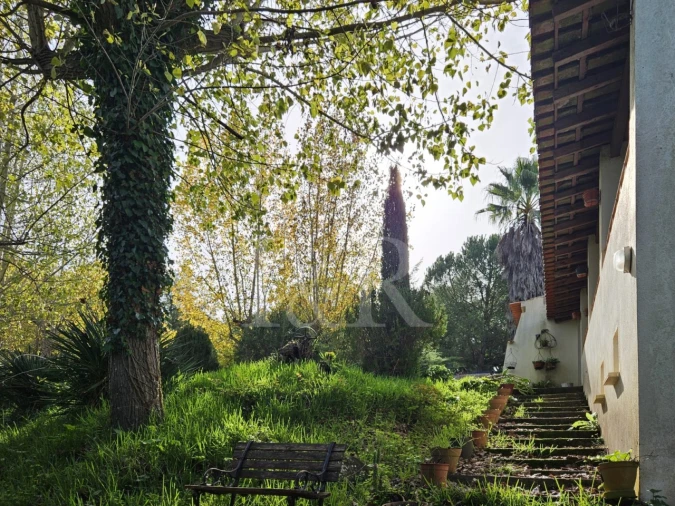 Quinta T10 para Venda em Nossa Senhora da Vila, Nossa Senhora do Bispo e Silveiras Foto 63