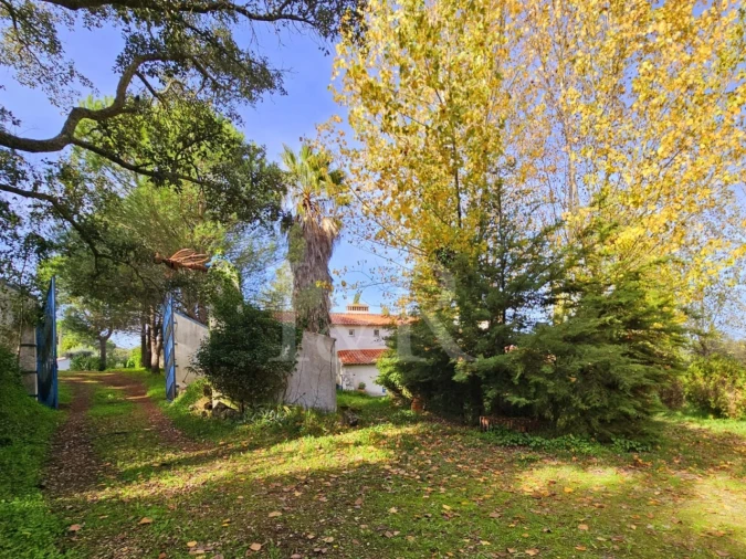 Quinta T10 para Venda em Nossa Senhora da Vila, Nossa Senhora do Bispo e Silveiras Foto 21