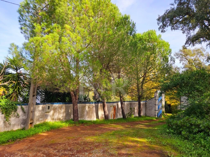 Quinta T10 para Venda em Nossa Senhora da Vila, Nossa Senhora do Bispo e Silveiras Foto 6
