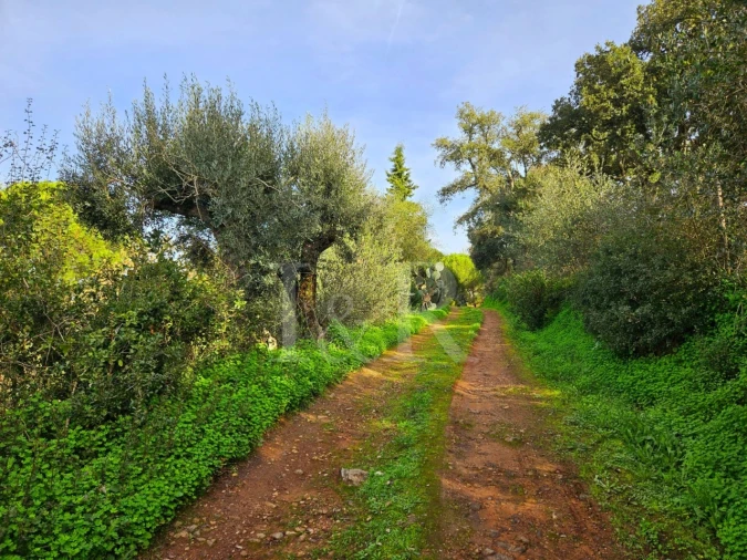 Quinta T10 para Venda em Nossa Senhora da Vila, Nossa Senhora do Bispo e Silveiras Foto 4