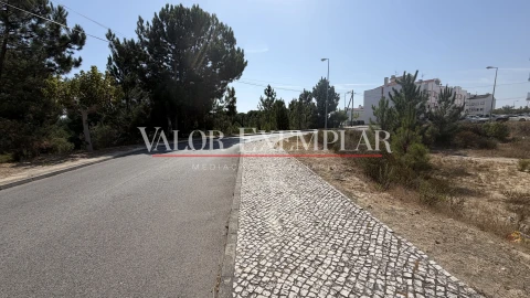 Terreno para Venda em Pegões