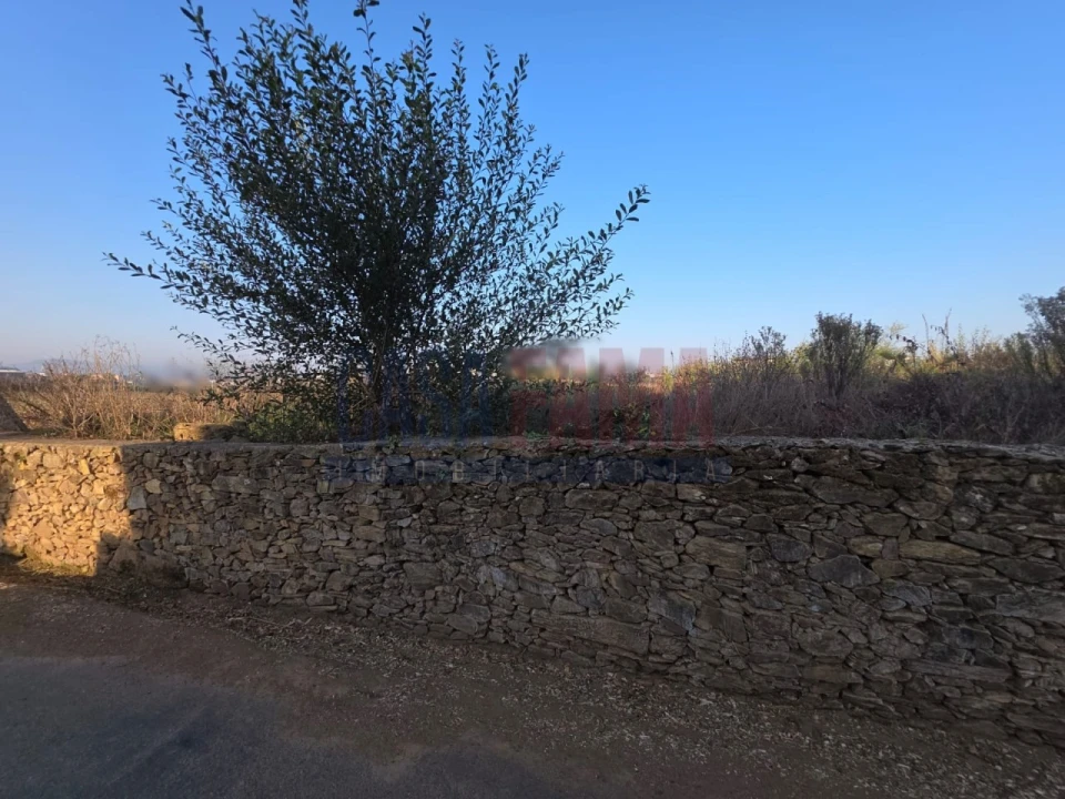 Terreno para Venda em Fradelos Foto 5