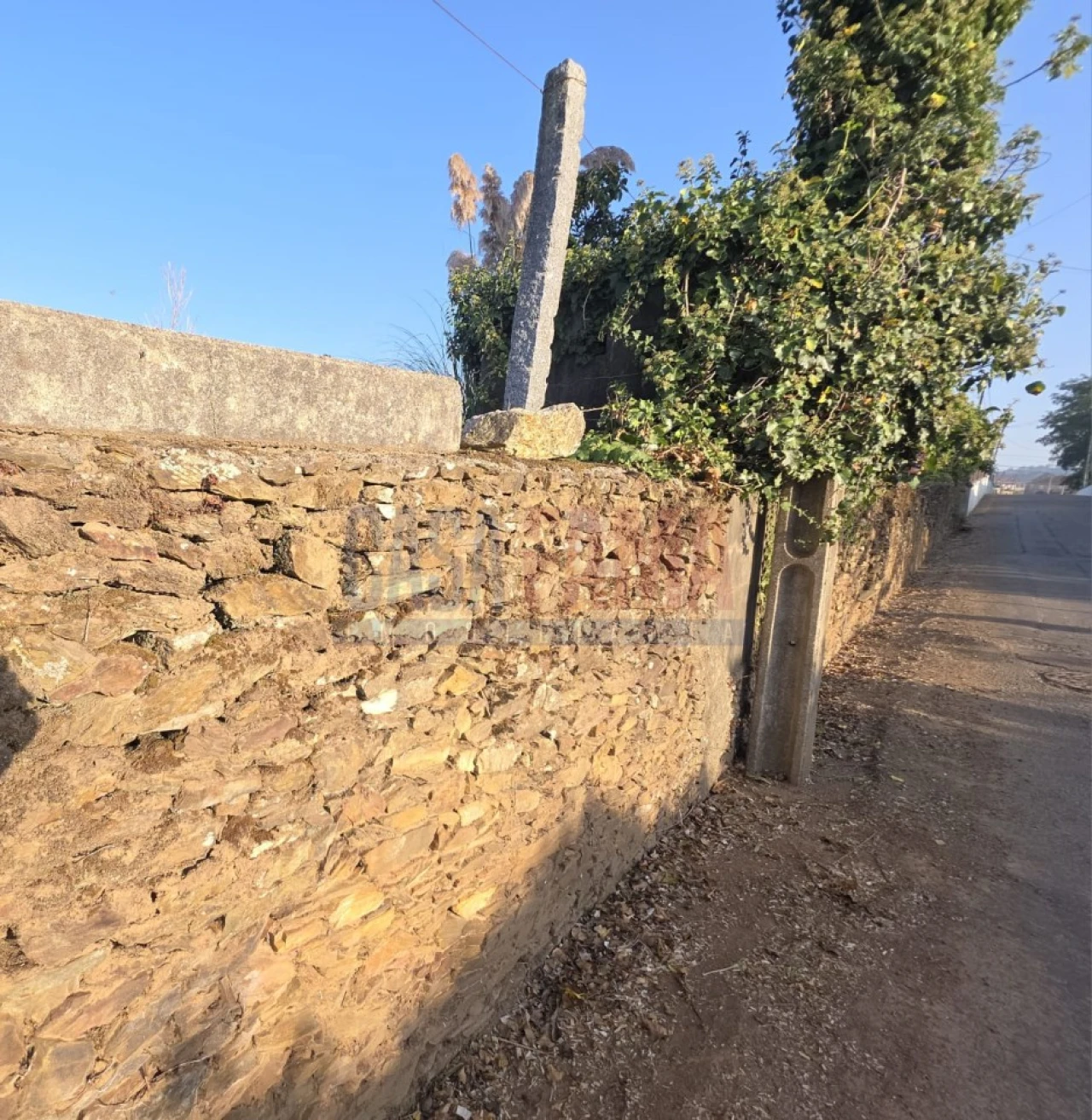 Terreno para Venda em Fradelos Foto 11