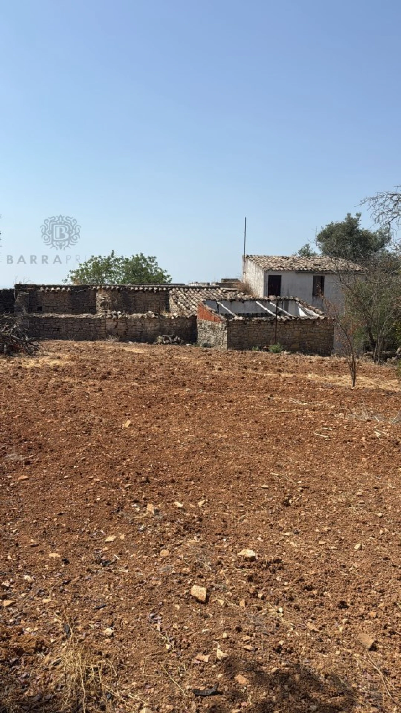 Terreno Agricola ou Rústico para Venda em Santa Barbara de Nexe Foto 1