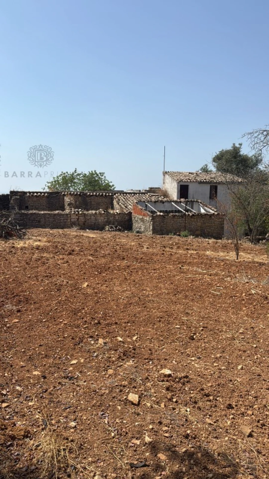 Terreno Agricola ou Rústico para Venda em Santa Barbara de Nexe Foto 1