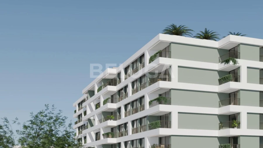 Apartamento T2 para Venda em São Martinho Foto 11