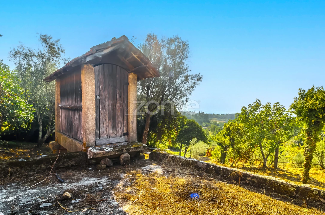 Moradia T3 para Venda em Moimenta Foto 11