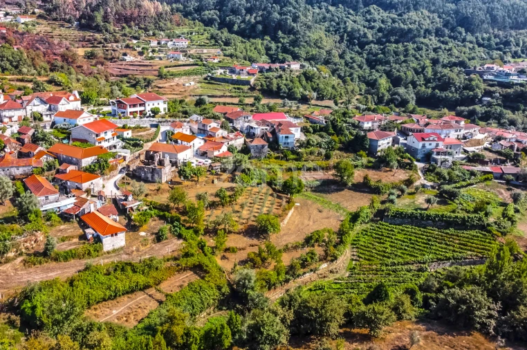 Moradia T3 para Venda em Moimenta Foto 21