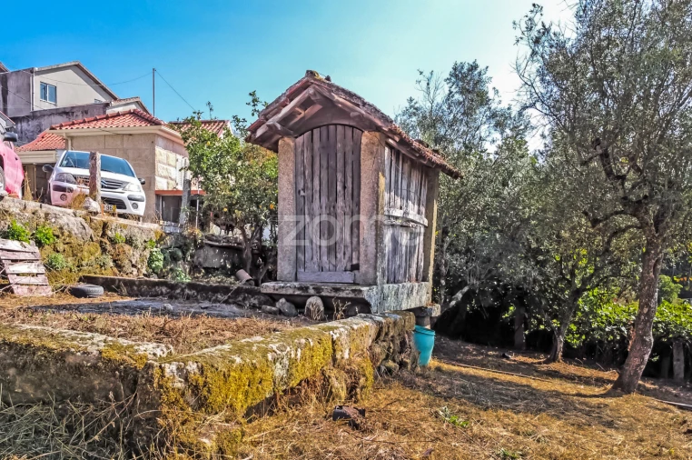 Moradia T3 para Venda em Moimenta Foto 11