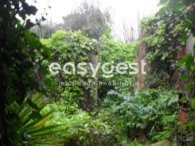 Moradia T5 para Venda em Azoia de Cima e Tremês Foto 11