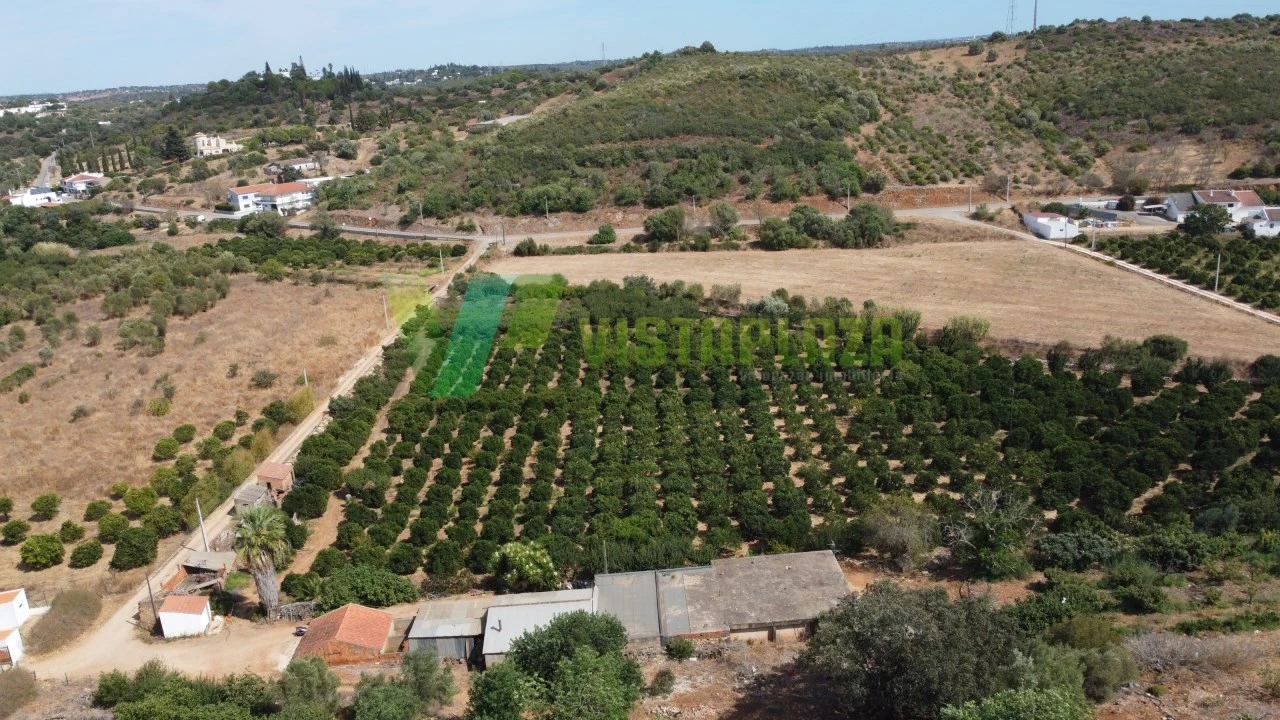 Terreno Misto para Venda em Mexilhoeira Grande Foto 14