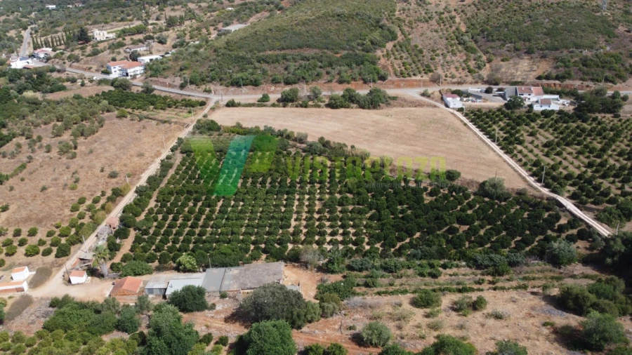 Terreno Misto para Venda em Mexilhoeira Grande Foto 2
