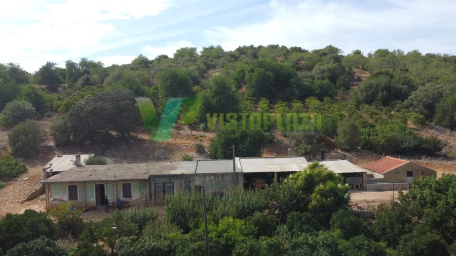 Terreno Misto para Venda em Mexilhoeira Grande Foto 17