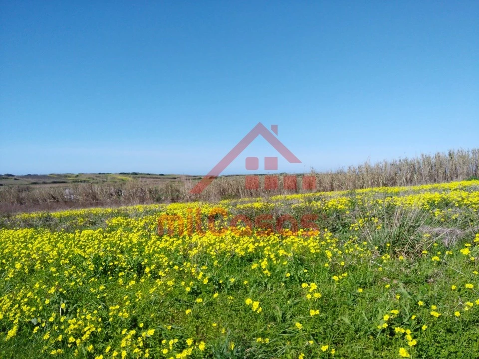 Terreno Misto para Venda em São Pedro da Cadeira Foto 3