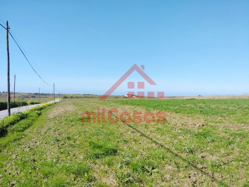 Terreno Misto para Venda em São Pedro da Cadeira Foto 5