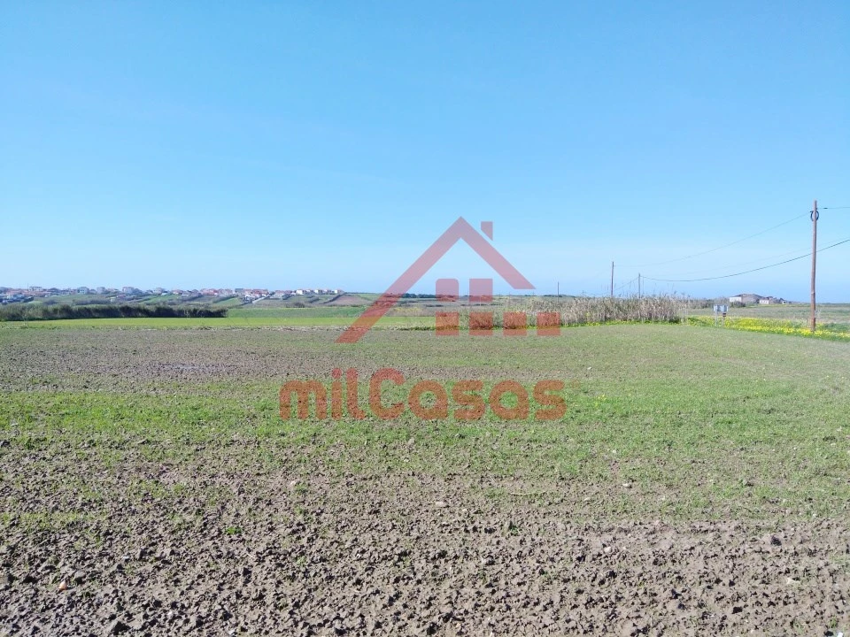 Terreno Misto para Venda em São Pedro da Cadeira Foto 6