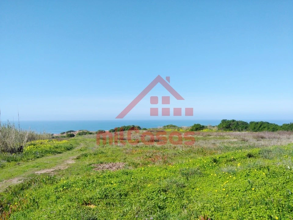 Terreno Misto para Venda em São Pedro da Cadeira Foto 1