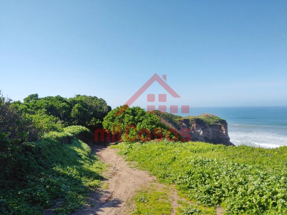 Terreno Misto para Venda em São Pedro da Cadeira Foto 15
