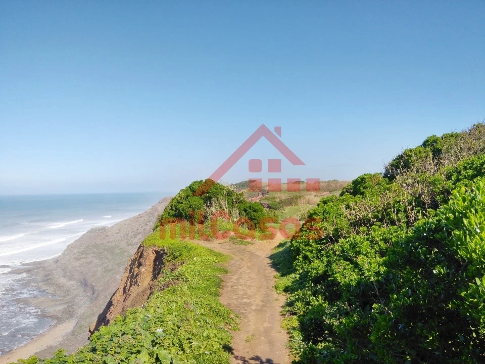 Terreno Misto para Venda em São Pedro da Cadeira Foto 21